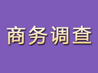 井冈山商务调查